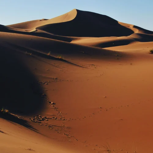 5-day desert program including 3-day desert trek in Morocco